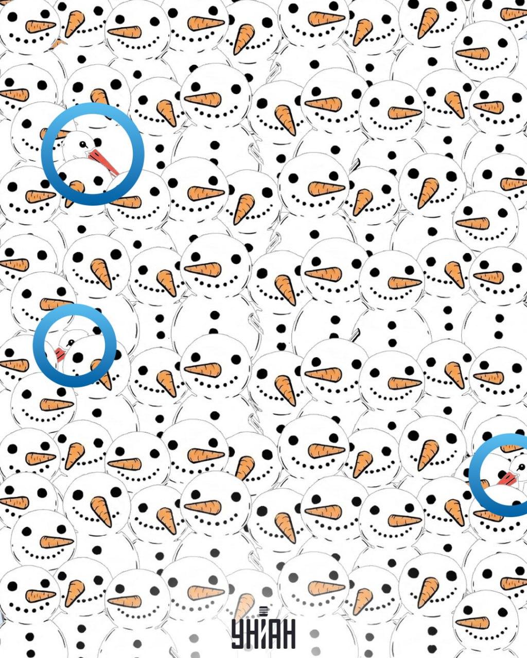 Finde 3 Störche unter den Schneemännern in 11 Sekunden: eine erstaunliche optische Täuschung