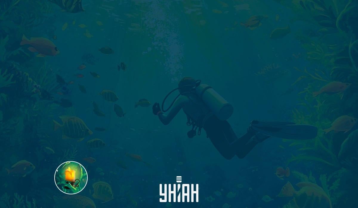 Bild-IQ-Test / Bild Moje