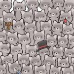 Ein Rätsel für echte Genies: Finde die Katze unter den