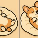 IQ-Test: Finde 3 Unterschiede in einem Bild von einem schlafenden