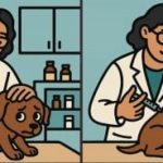 IQ-Test: Finde 3 Unterschiede in einem Bild von einem Tierarzt