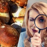 Nur Menschen mit einem überdurchschnittlichen IQ können in 15 Sekunden